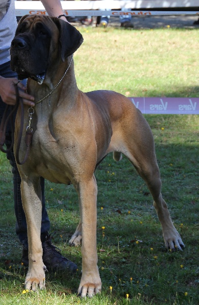 Gachka du Domaine des Hautes Plaines